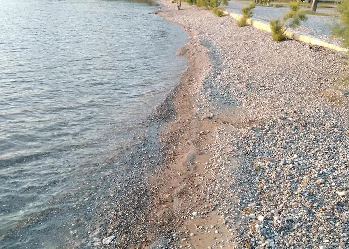 Milka * 스타리그라드 파클레니차